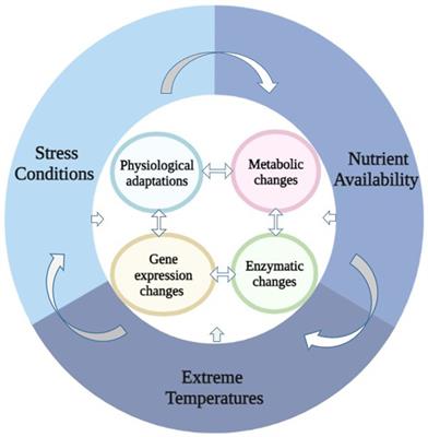 Cold adapted Pseudomonas: ecology to biotechnology